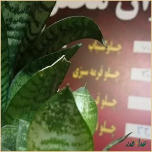 کترینگ و رستوران محفل