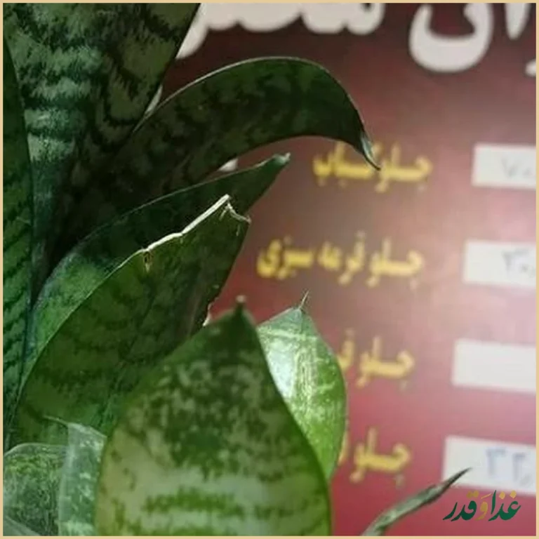 کترینگ و رستوران محفل