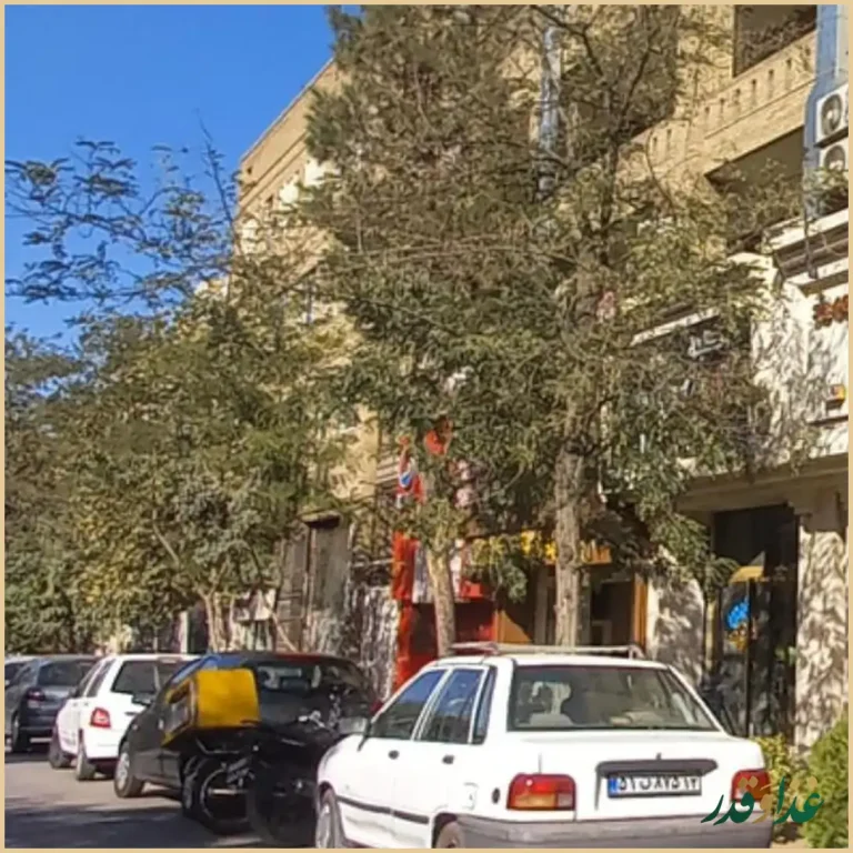 پیتزا پیتزا