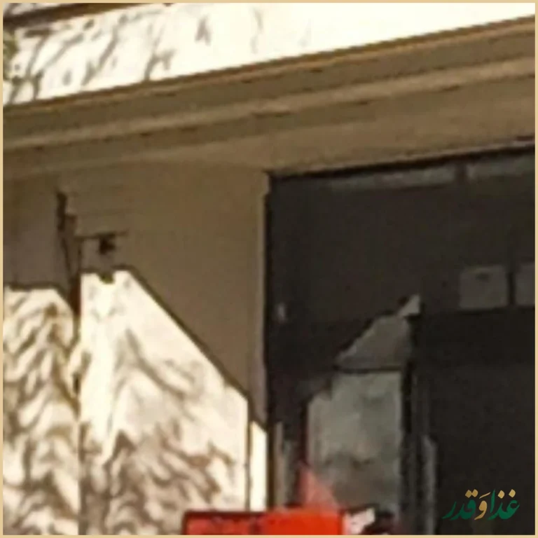 پیتزا پیتزا