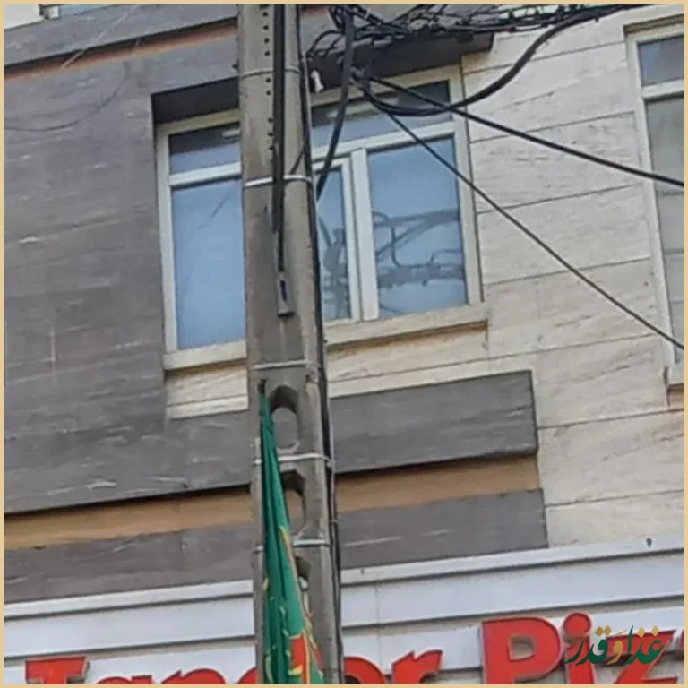 چیکن استریپس ( سوخاری پیتزا)