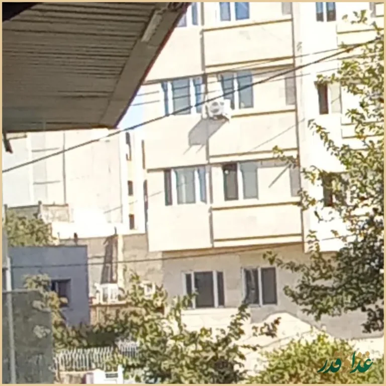 ساندويچ. سیب زمینی. چیپس