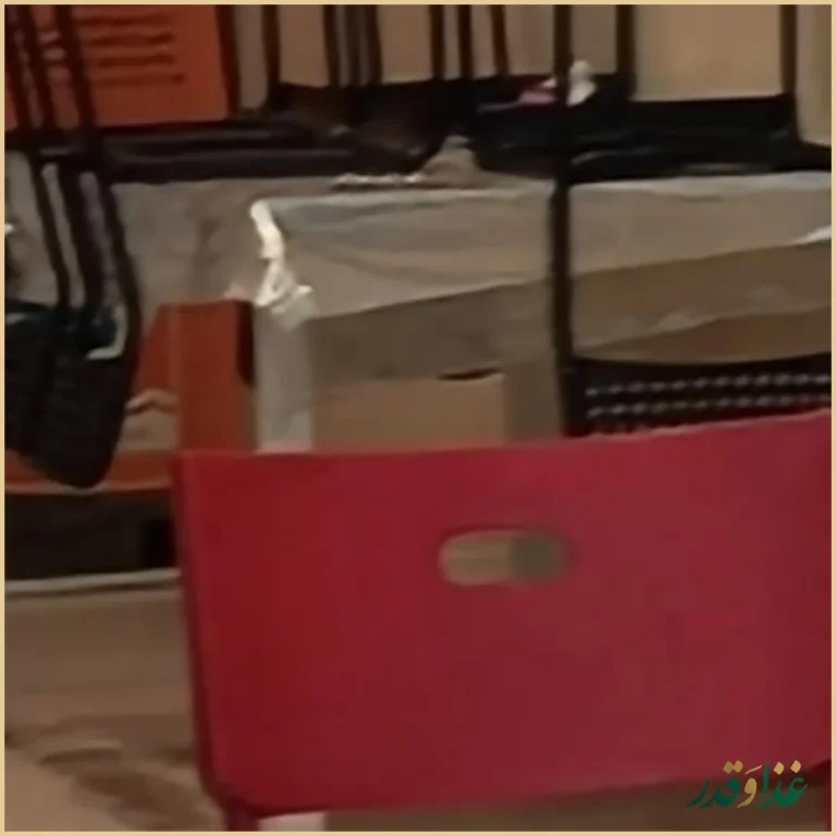 ساندويچ. سیب زمینی. چیپس