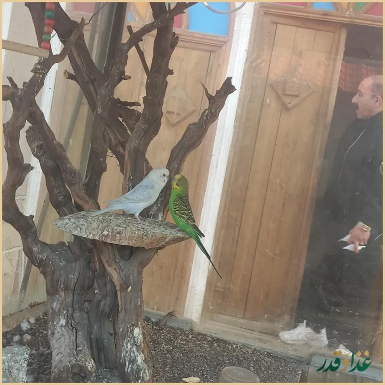 عمارت حاج اسماعیل