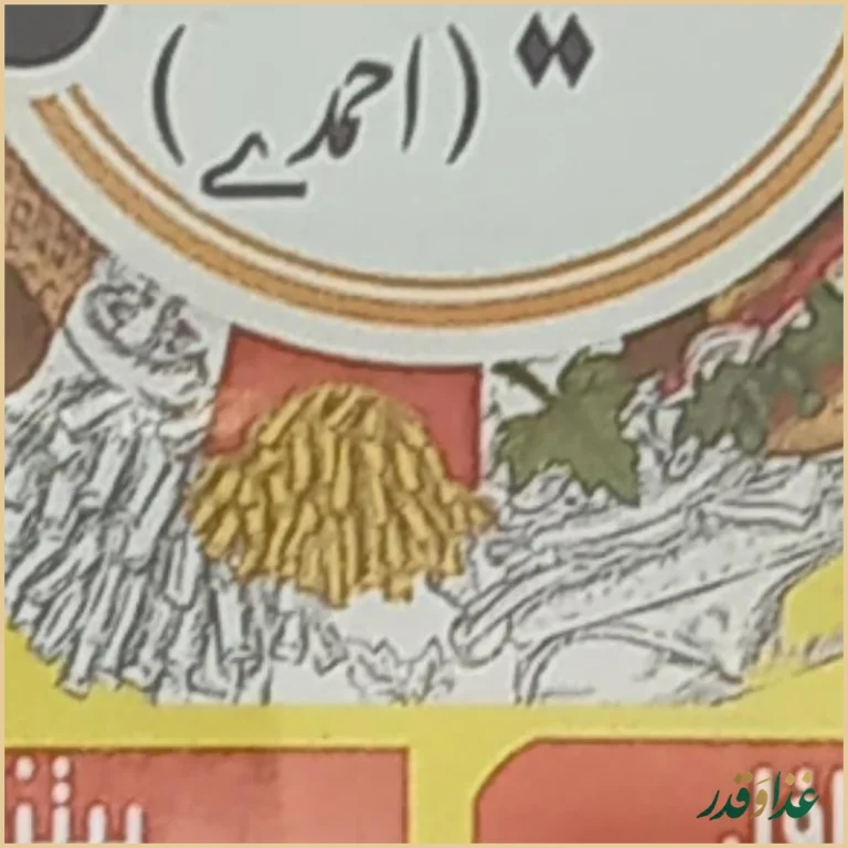 اغذیه خان احمدی