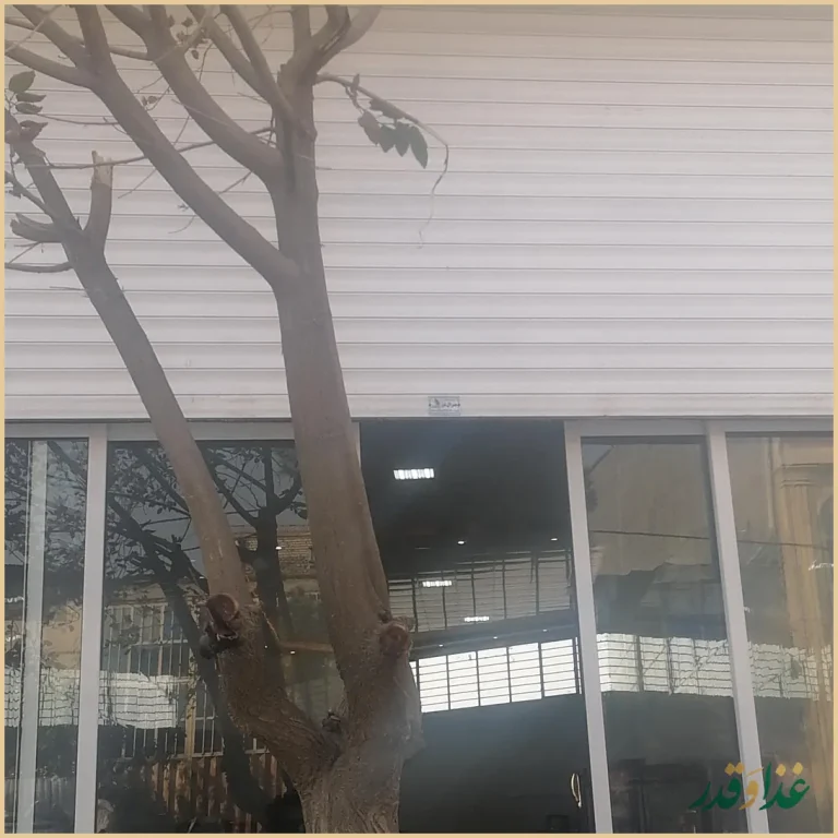 غذای اماده احسان