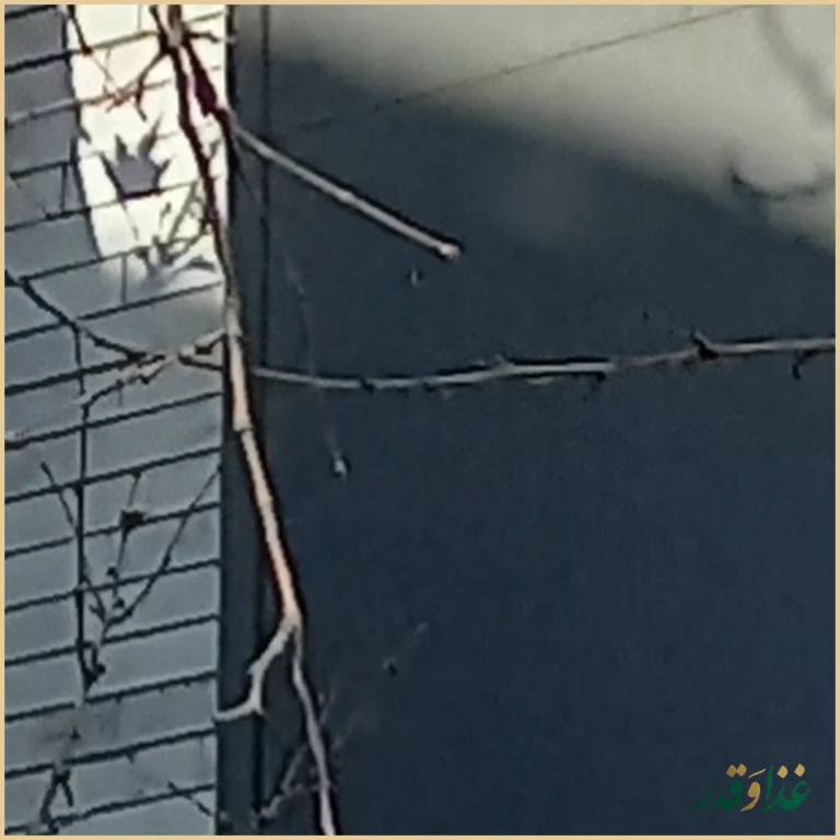 کباب و حلیم بهارستان