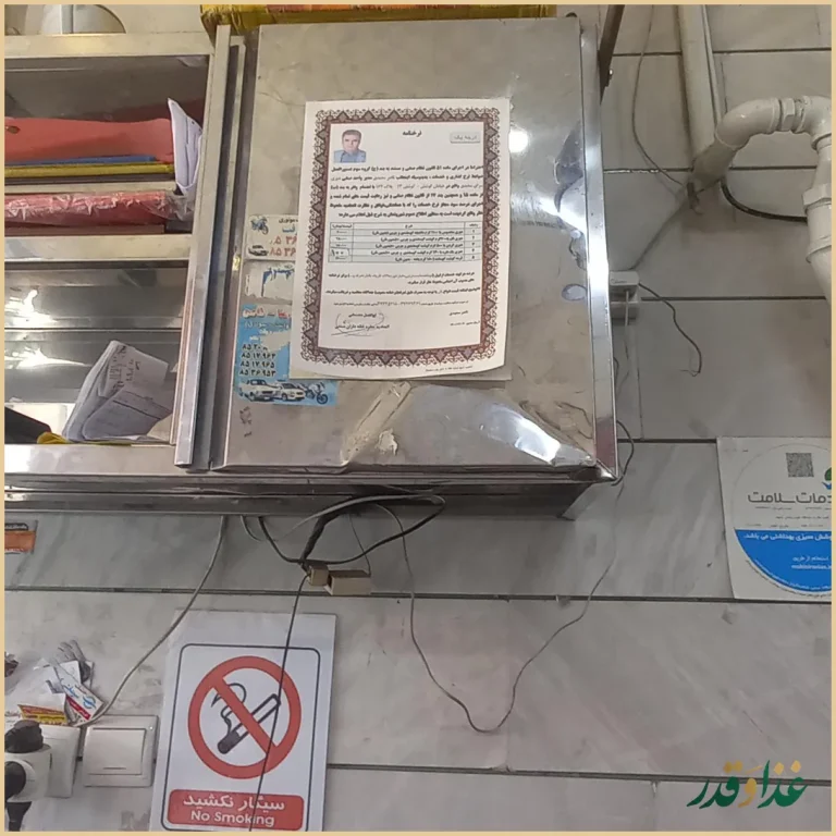 دیزی سرا سعیدی