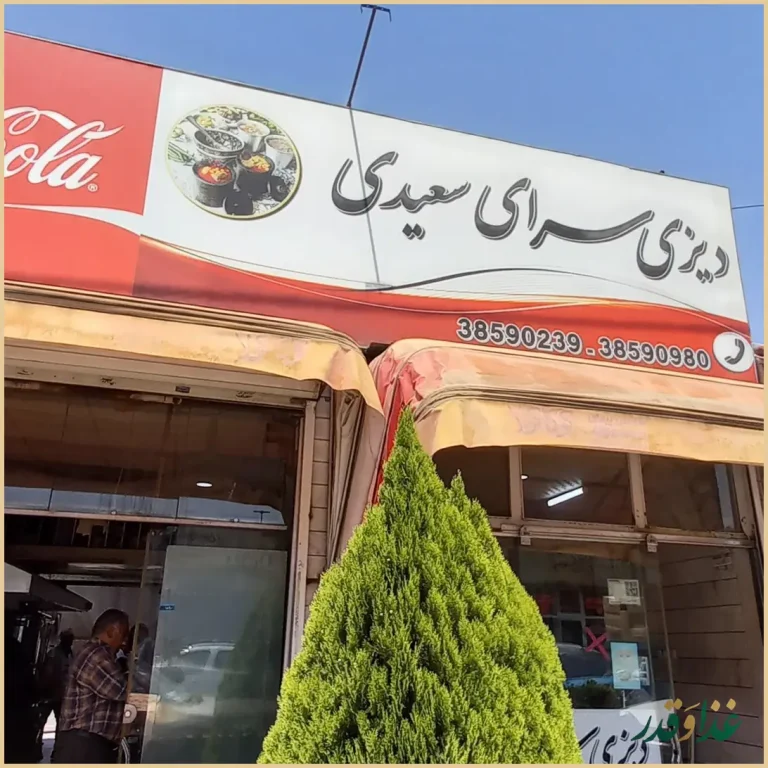 دیزی سرا سعیدی