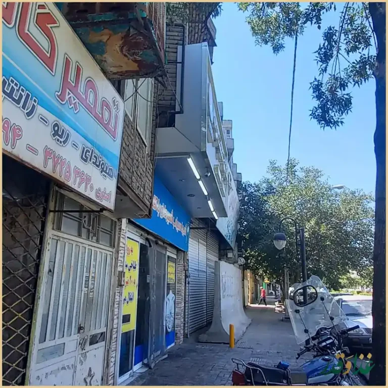 طباخی سفید بره