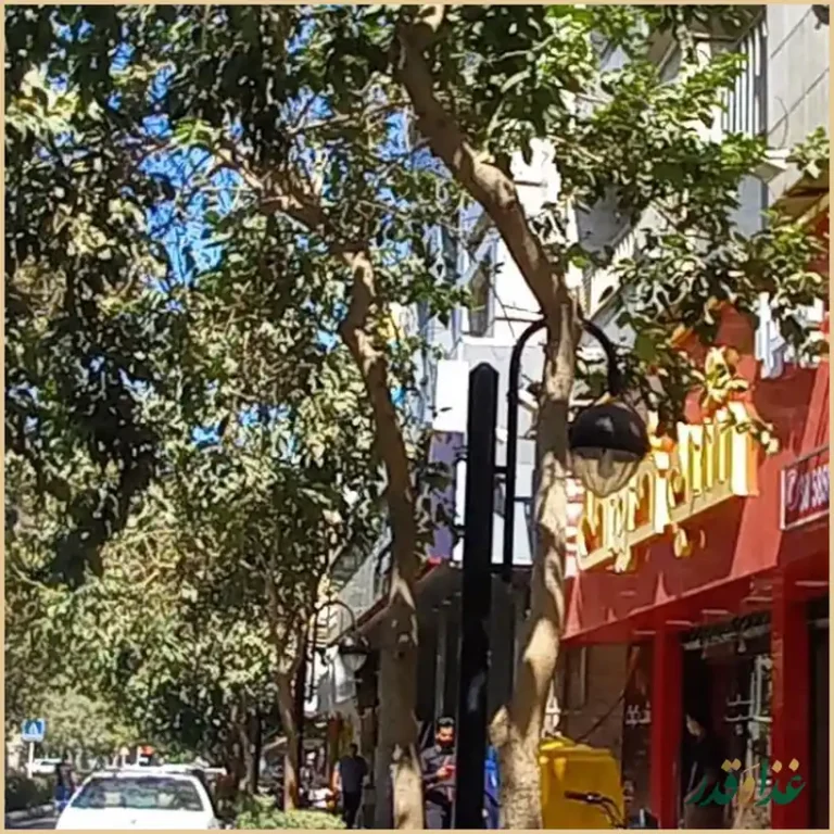 رستوران پاشا