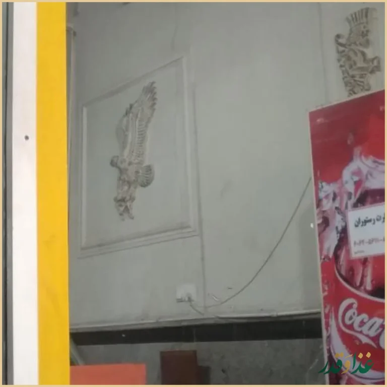 کترینگ و تهیه غذای پدر و پسر