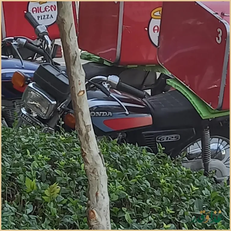 پیتزا آیلین