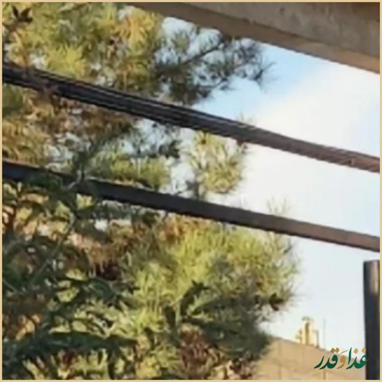 رستوران امیرشاهان