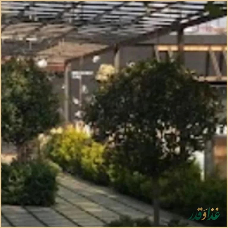 رستوران امیرشاهان