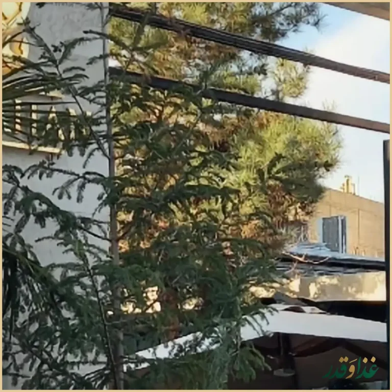 رستوران امیرشاهان