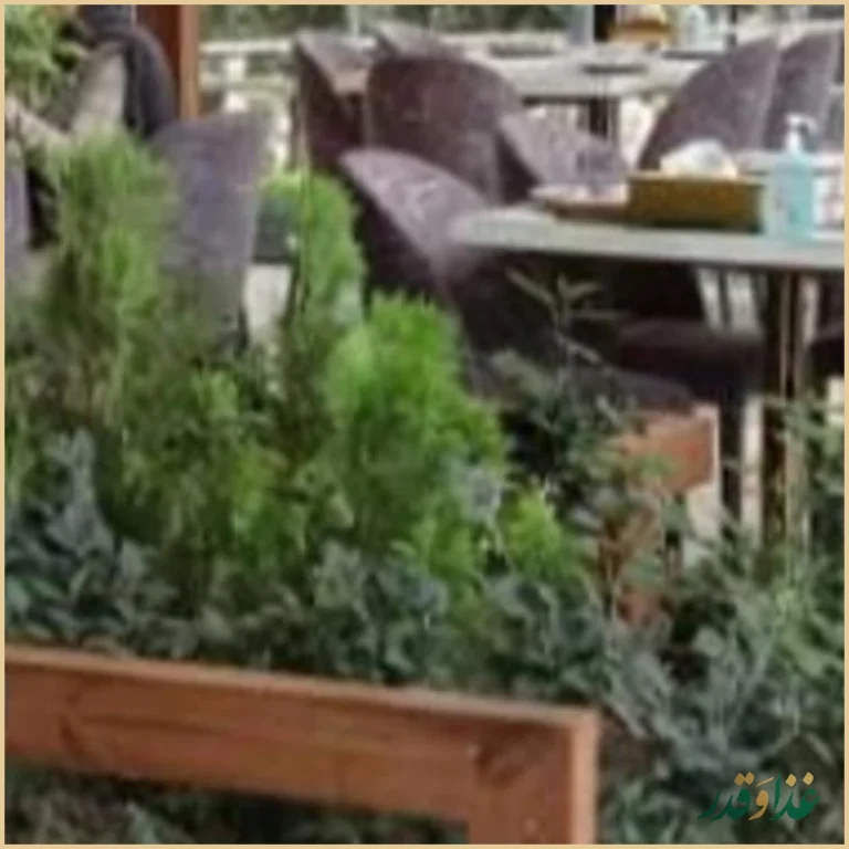 رستوران امیرشاهان