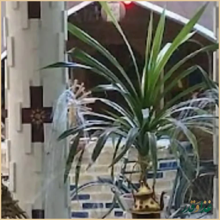 سفره خانه سنتی فانوس آبی