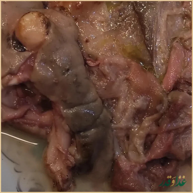 طباخی علی و پسران