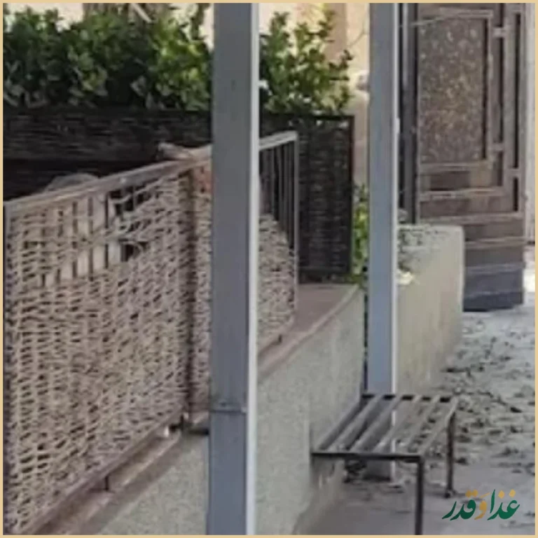 رستوران ستایش کانون بازنشستگان آجا