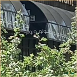 رستوران غذای دریایی سولو