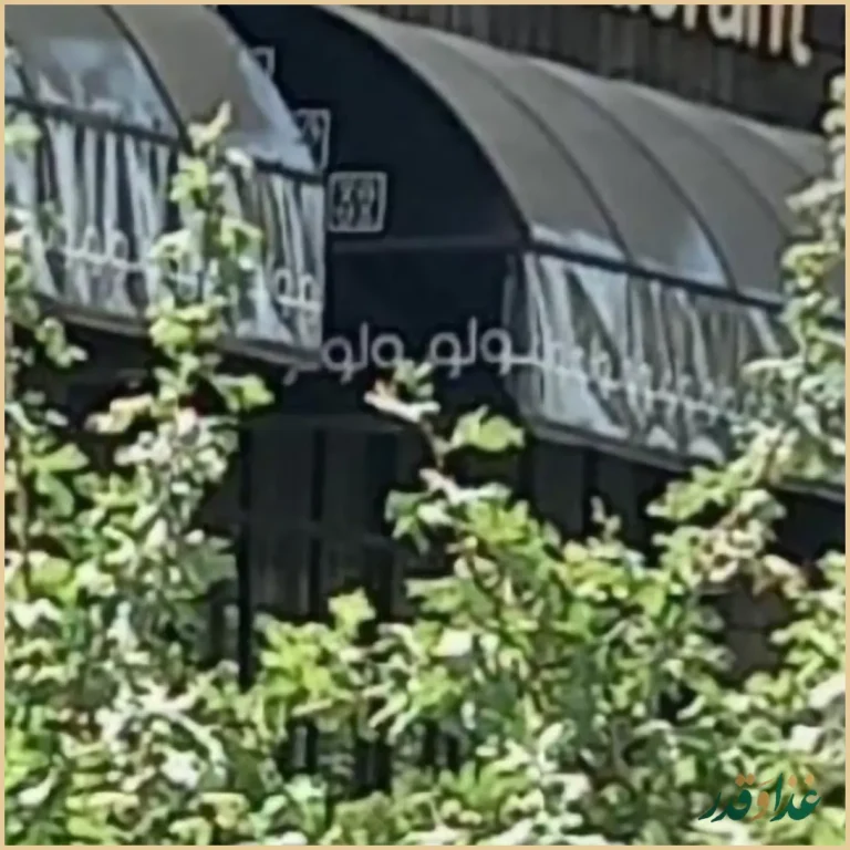 رستوران غذای دریایی سولو