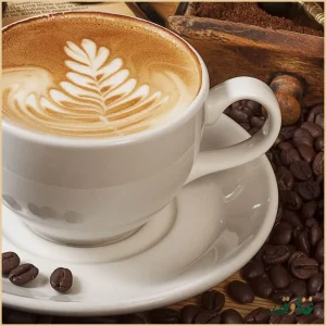 مجموعه غذایی برگ زیتون