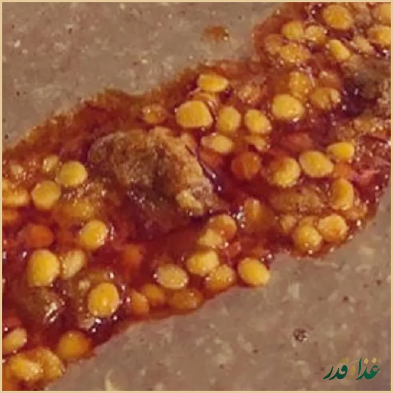 مجموعه غذایی برگ زیتون