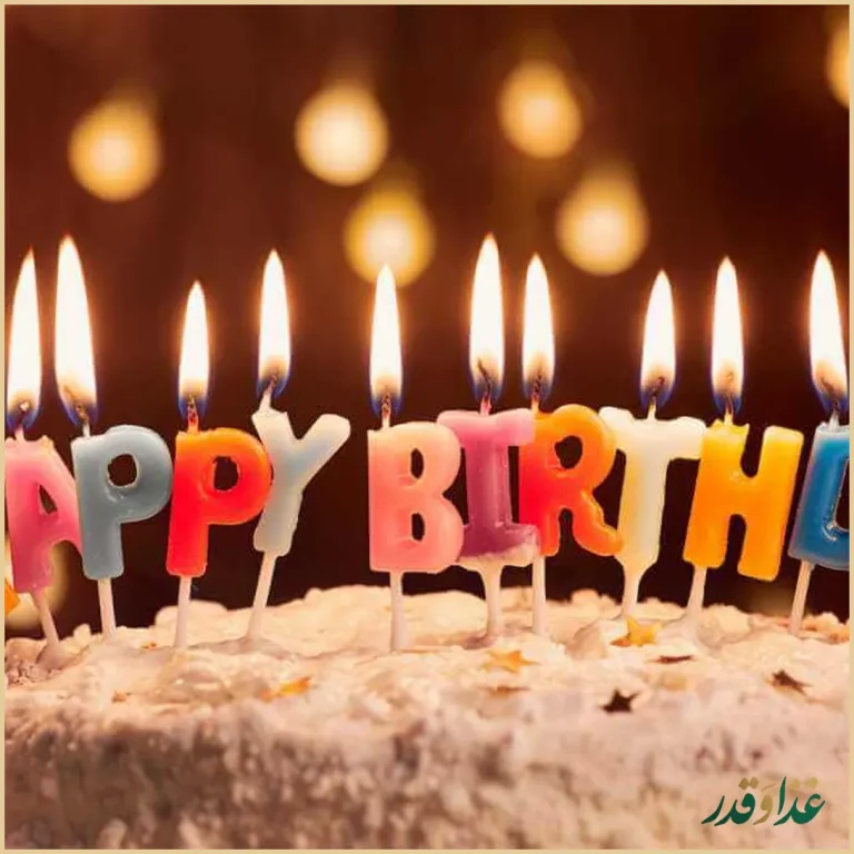 مجموعه غذایی برگ زیتون