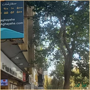 رستوران می شف