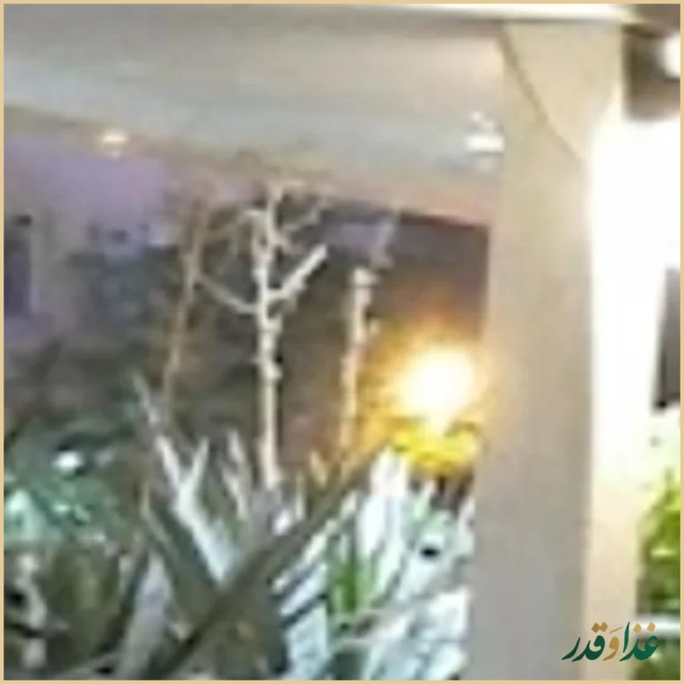 رستوران می شف