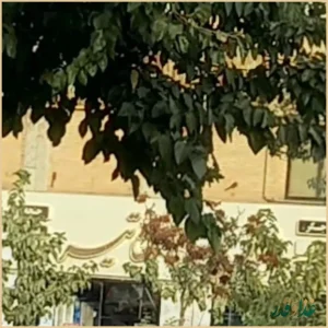 طباخی هفت تیر