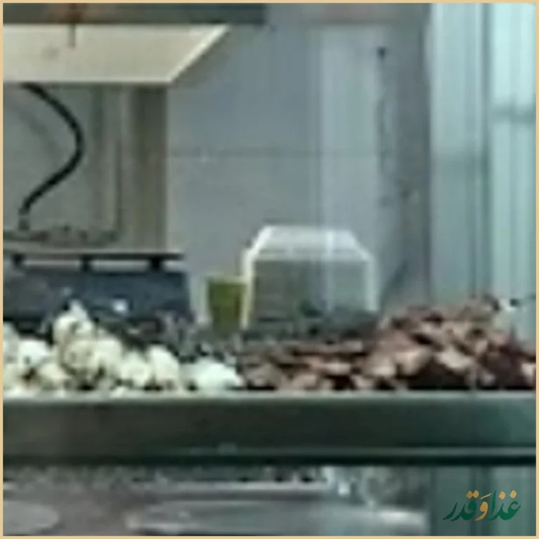 طباخی هفت تیر