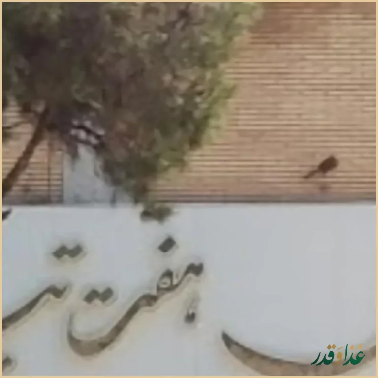 طباخی هفت تیر