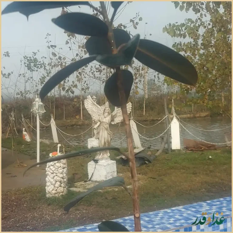 رستوران ترنگ شمال