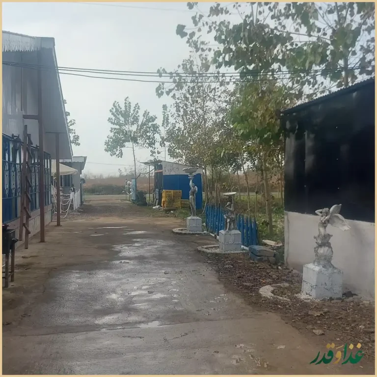 رستوران ترنگ شمال