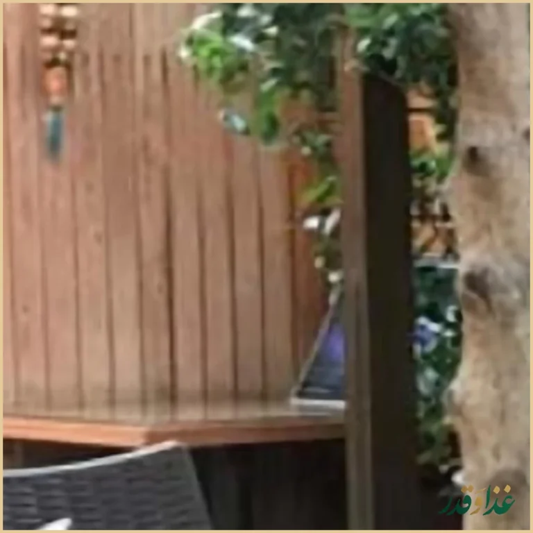 شله و حلیم ممتاز