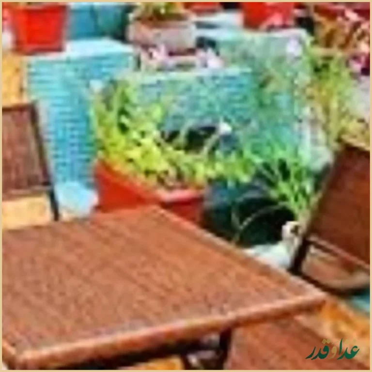 کافه رستوران زمین