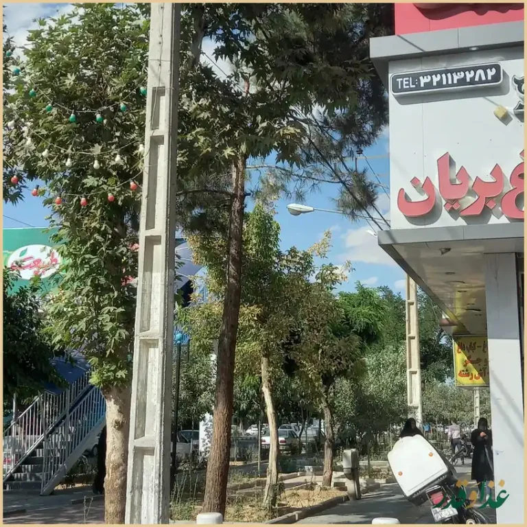 رستوران گراد