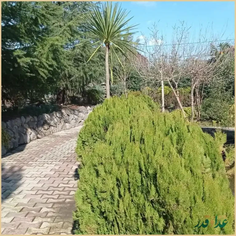 باغ رستوران پرنیان