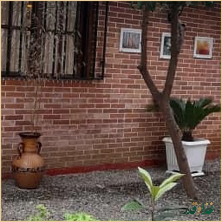 رستوران پلا کباب دنج