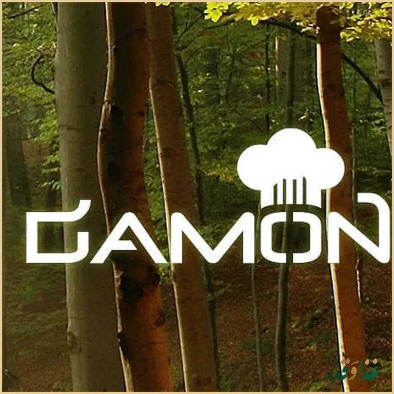 مجموعه غذایی دامون