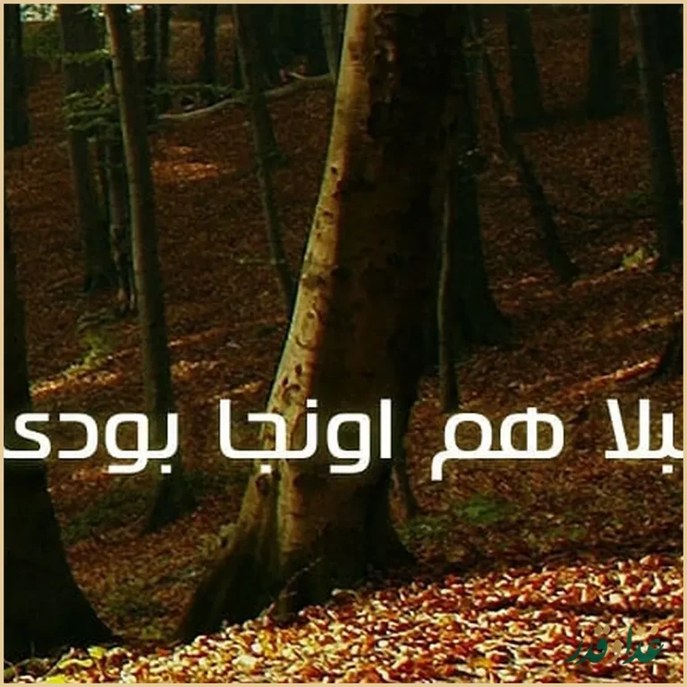 مجموعه غذایی دامون