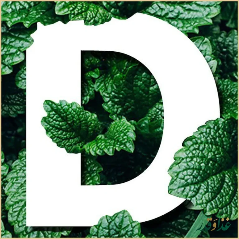 مجموعه غذایی دامون