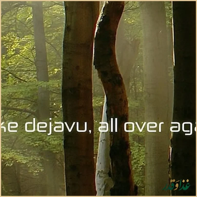 مجموعه غذایی دامون