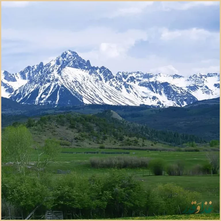 مجموعه غذایی دامون