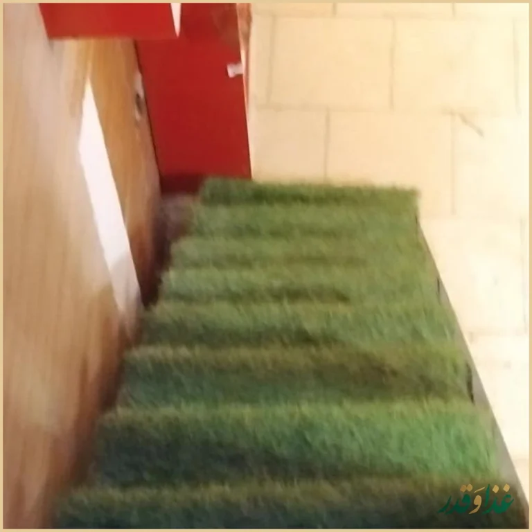 کافه رستوران شاتوت