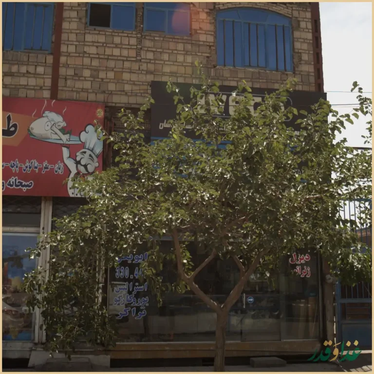 طباخی حاج منصور