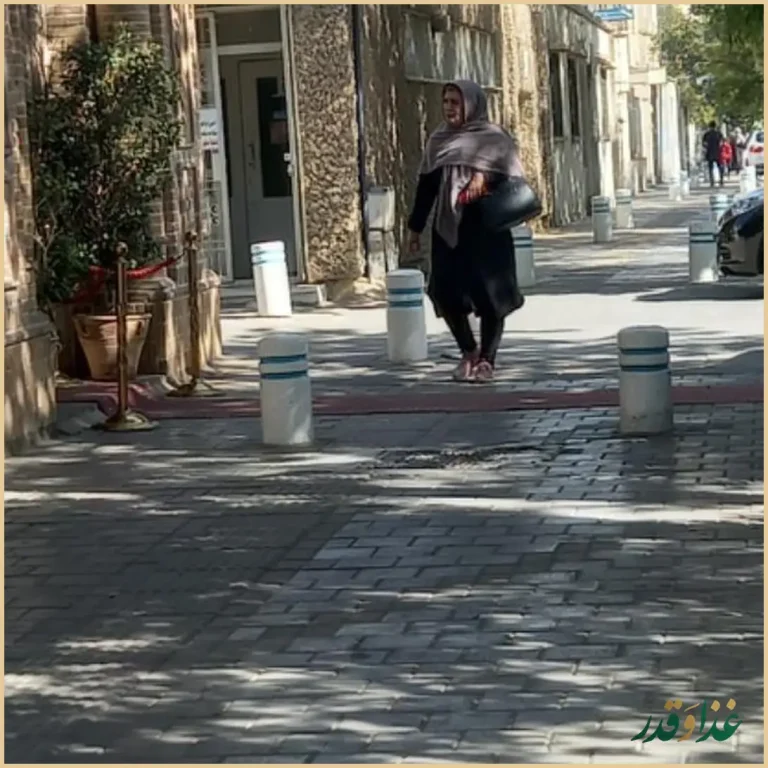 رستوران ملک شاهان