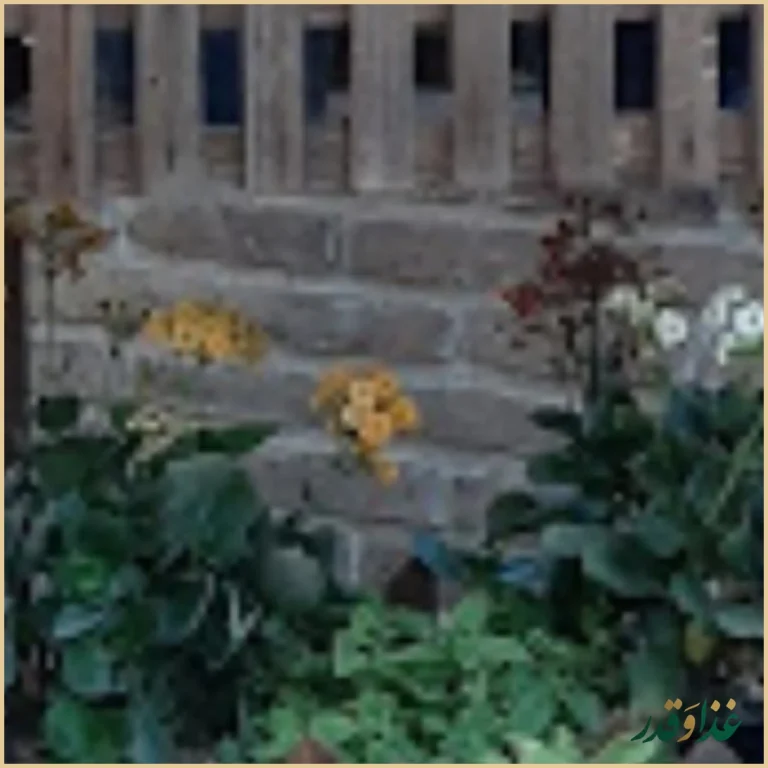 رستوران ملک شاهان